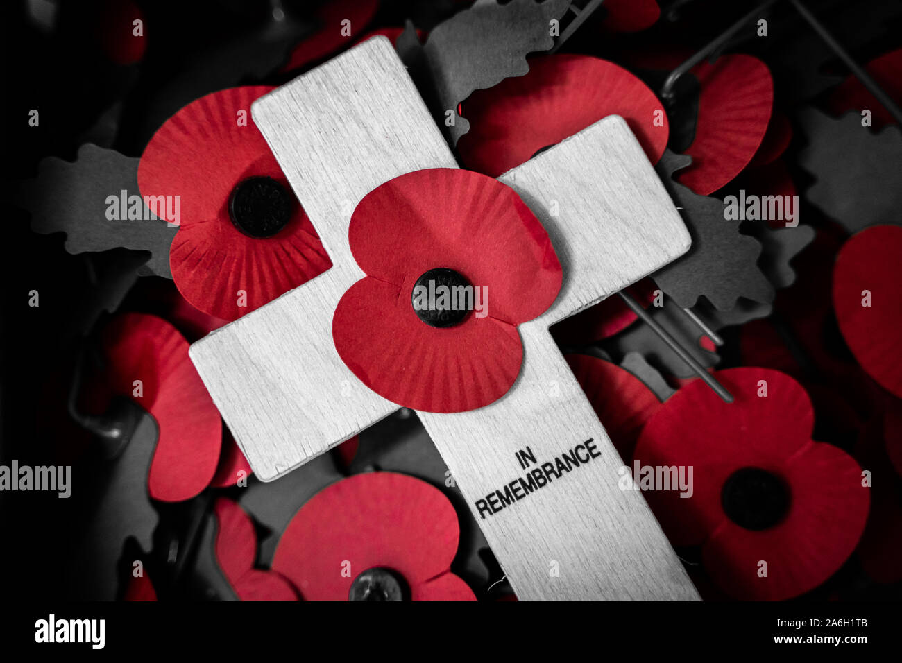 Coquelicots sur croix pour la Royal British Legion Poppy Appel sont prélevés à un endroit secret et comptés par des bénévoles, en souvenir, la RBL, Coquelicot Banque D'Images
