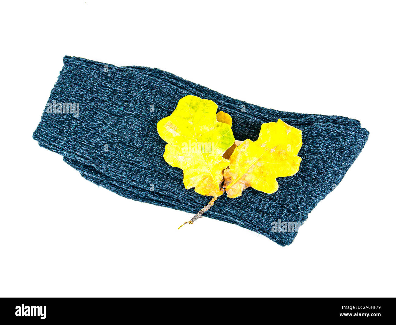 Chaussettes chaudes avec une étiquette de prix. Place pour le texte. Collection de vêtements d'automne. Banque D'Images