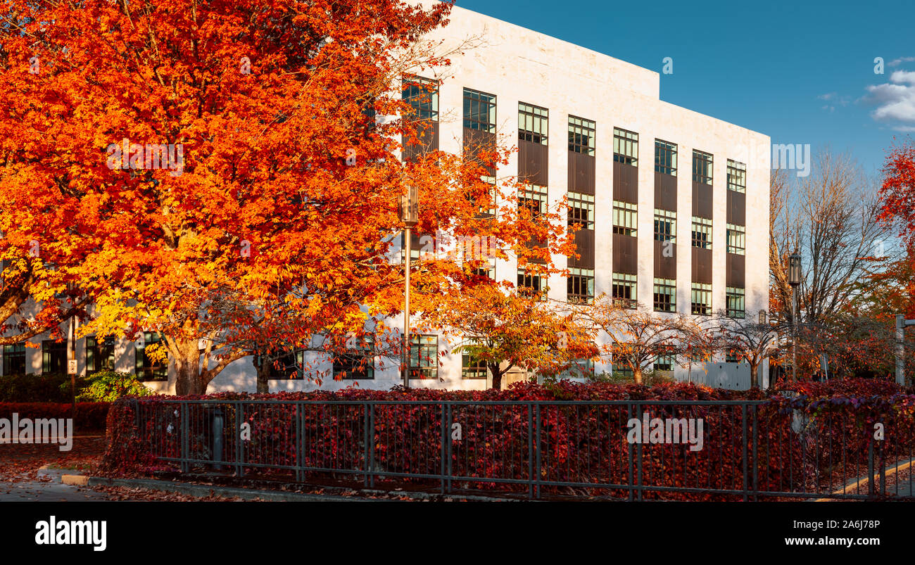 Salem, Oregon - 27 octobre 2019 : façade du bâtiment de service public à l'Oregon State Capitol State Park en automne Banque D'Images