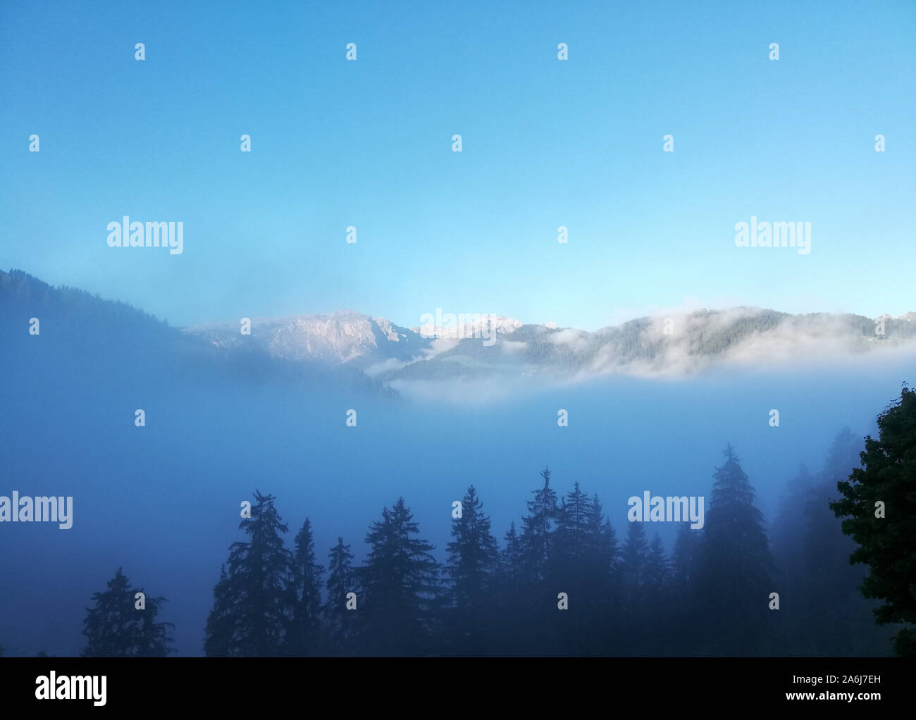Vert et gris panorama paysage de montagne avec des forêts et un brouillard épais dans les vallées et un ciel couvert Banque D'Images