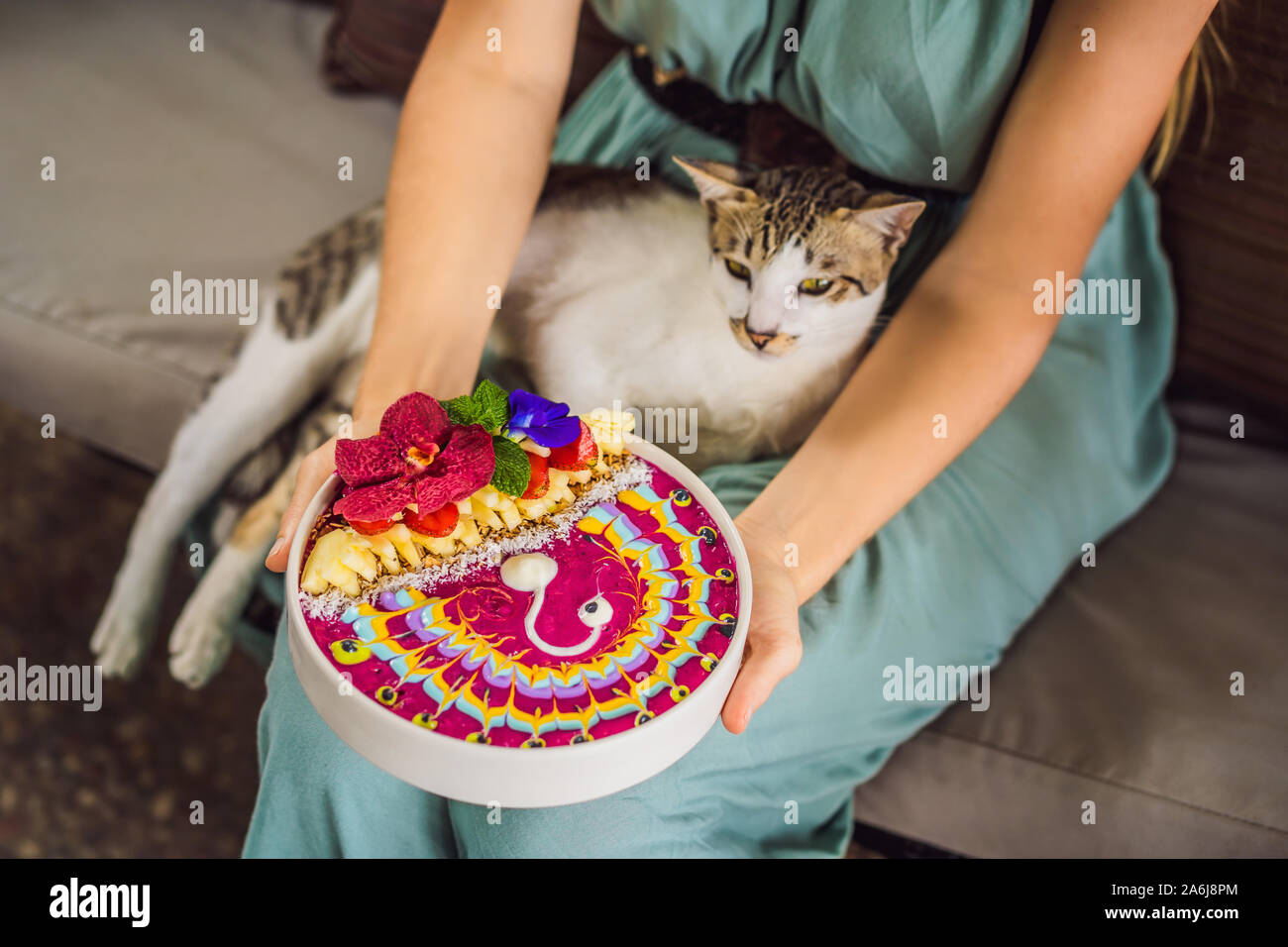 Jeune femme ayant un petit déjeuner méditerranéen assis à son canapé et avec son chat en bonne santé et mange le petit déjeuner tropical smoothie tropical, avec bol Banque D'Images