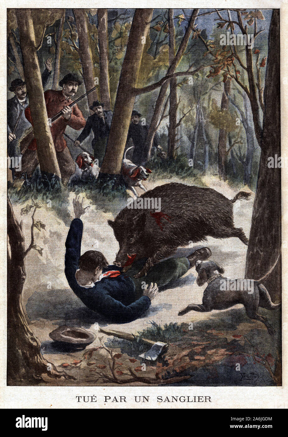 Un sanglier blesse par des chasseurs prend la fuite et rencontre un  bucheron, qui tente, arme de sa hache, de lui barrer la route, la bete  alors se pr Photo Stock -
