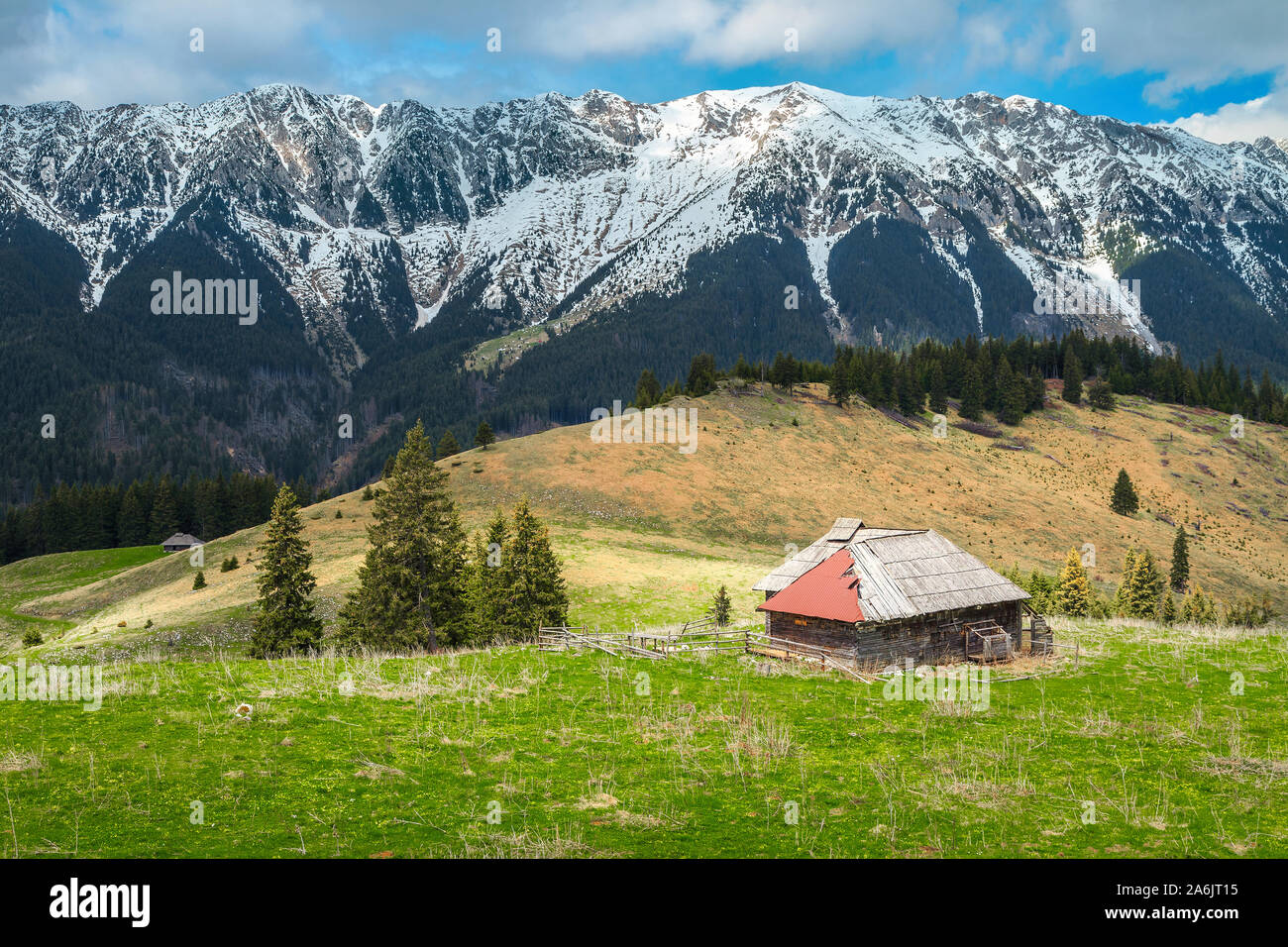 Superbe campagne alpine place de pâturages et de neige élevée Piatra Craiului, Pestera village, Transylvanie, Roumanie, Europe Banque D'Images