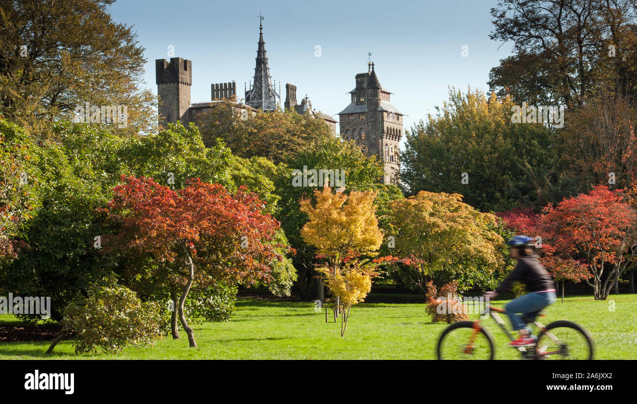 Park Cycle Ride Banque D'Images