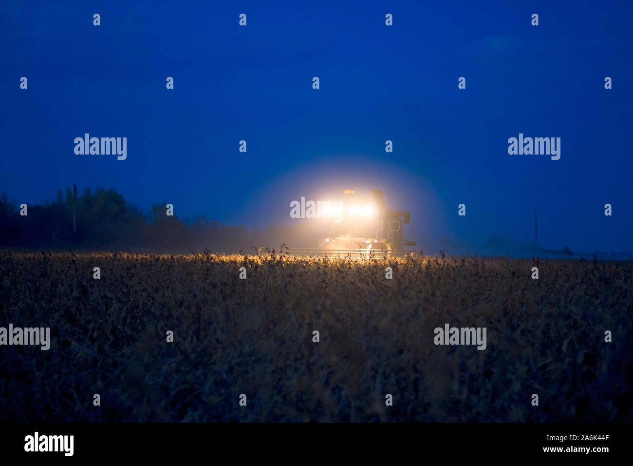 La récolteuse est présent dans le domaine de la soirée. Le blé récolté à nuit Banque D'Images