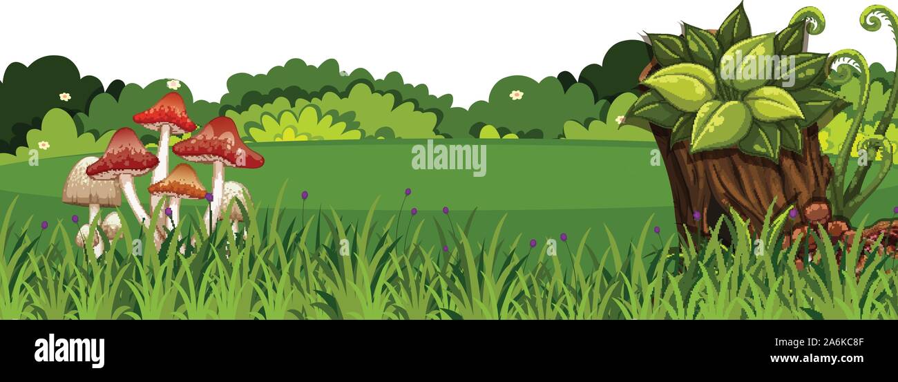 Fond de paysage avec mushroom on Green grass illustration Illustration de Vecteur