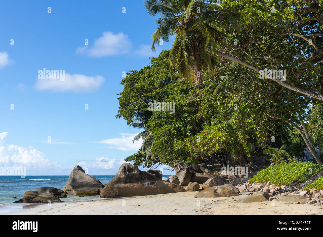 Badestrand auf den Seychellen Banque D'Images