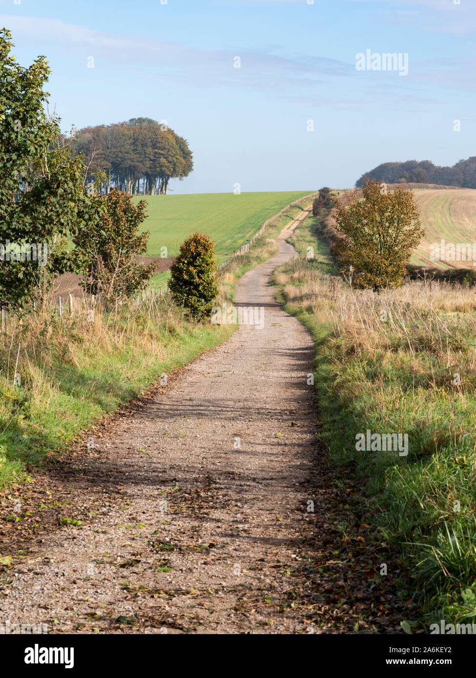 Vue en direction sud à partir de Hackpen Hill de The Ridgeway sentier de grande près d'Avebury en automne le soleil. Banque D'Images