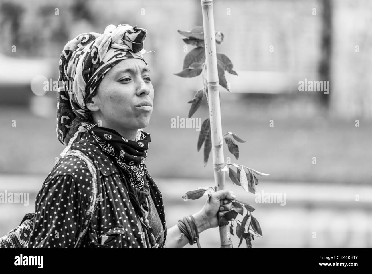 Mapuche tribe Banque de photographies et d’images à haute résolution ...