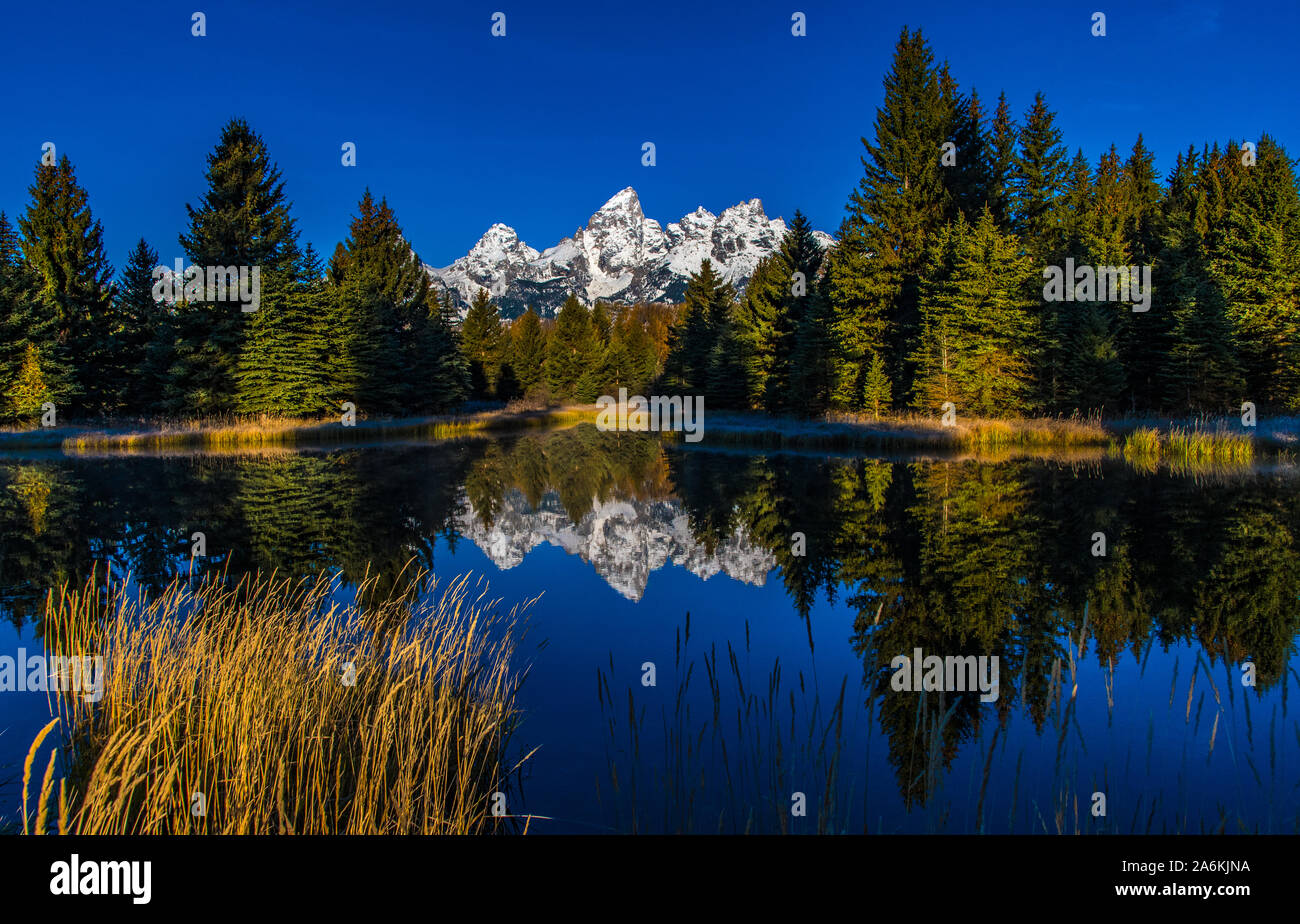 Schwabacher's Landing- Jackson, Wyoming Banque D'Images