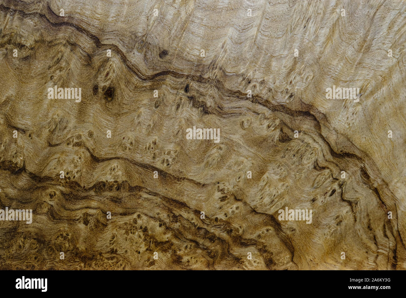 Ronce de noyer la nature du grain du bois texture background Banque D'Images