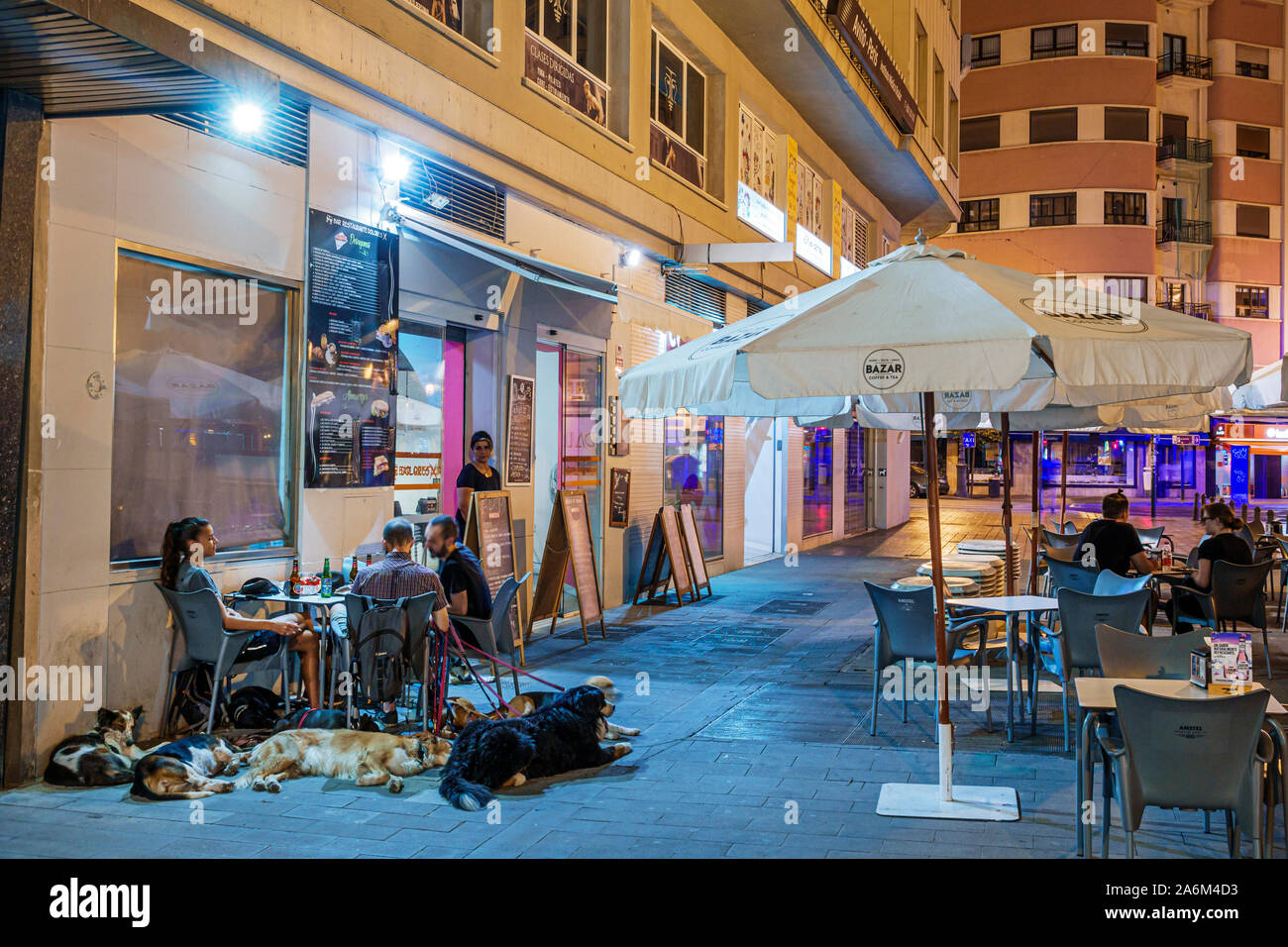 Valencia Espagne hispanique, Ciutat Vella, vieille ville, centre historique, quartier plaza, café-terrasse, table, homme, femme, chiens, marcheur de chien, détente, soirée, Banque D'Images