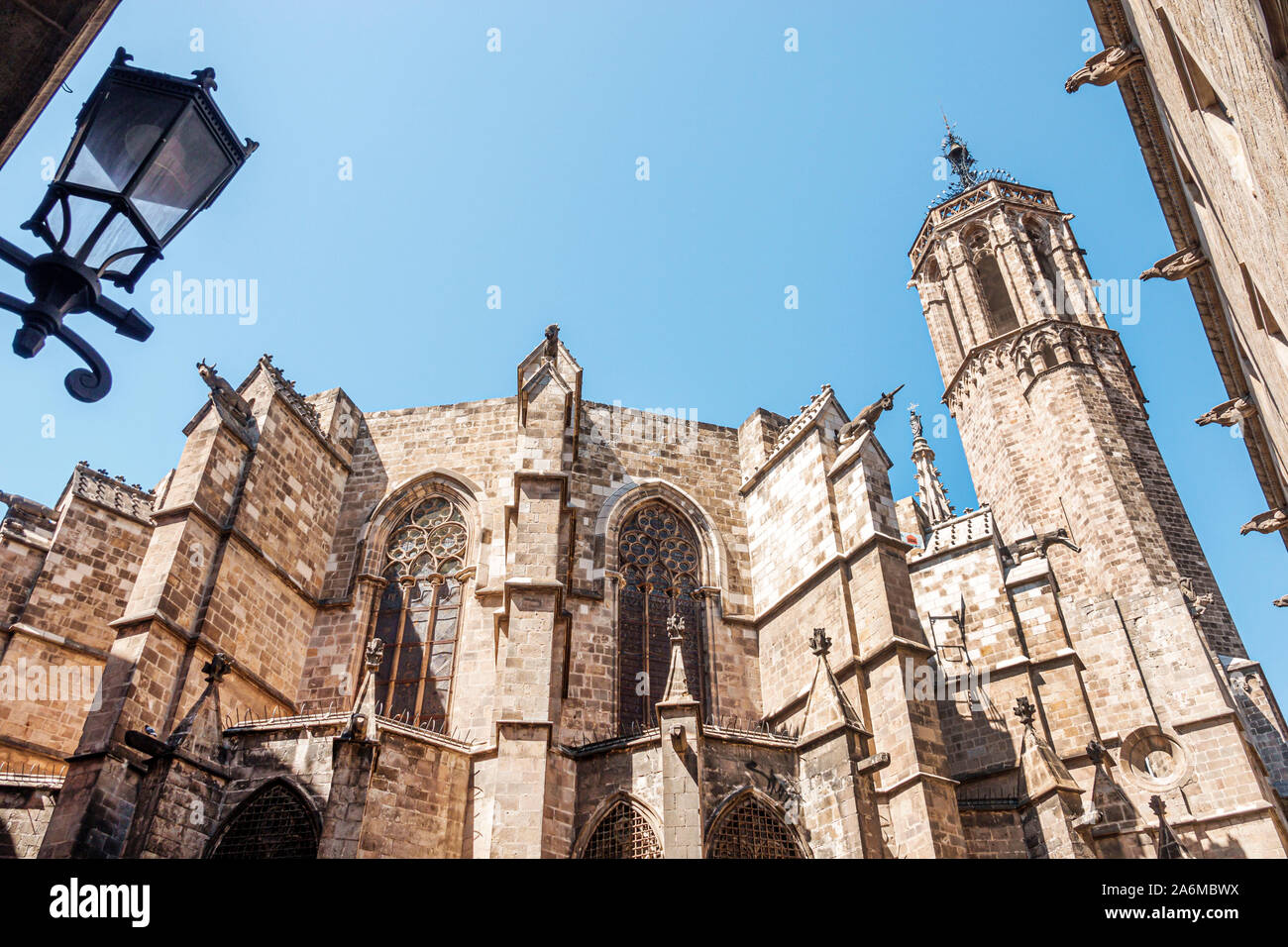 Barcelone Espagne, Catalogne Ciutat Vella, centre historique, quartier gothique, Carrer de la Pietat, Cathédrale de la Sainte Croix et Saint Eulalia, chat romain gothique Banque D'Images