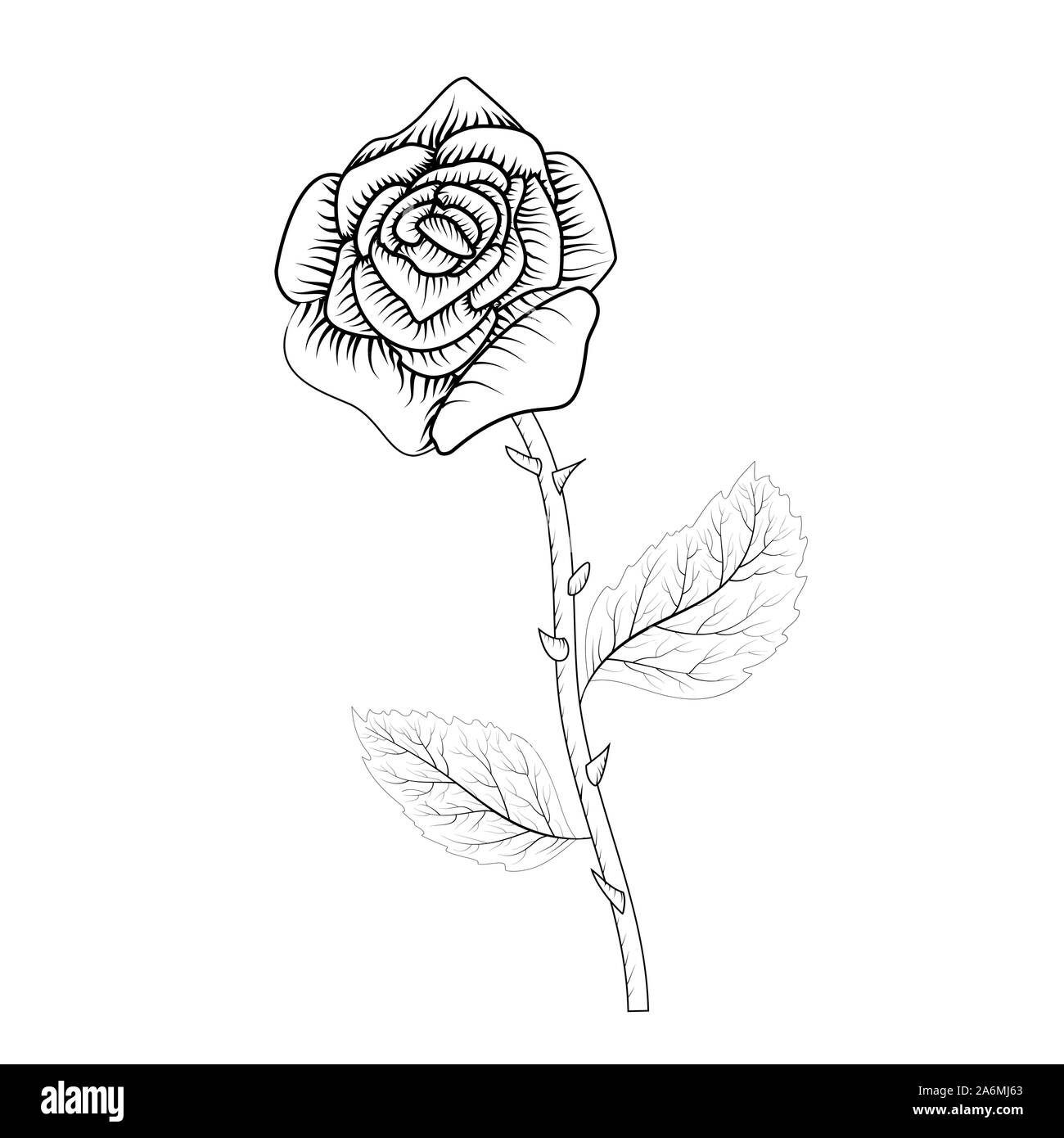 Cartoon rose pour la décoration design. Belle rose, grande conception pour tout usage. Symbole de cadeau. Élément de tatouage Illustration de Vecteur