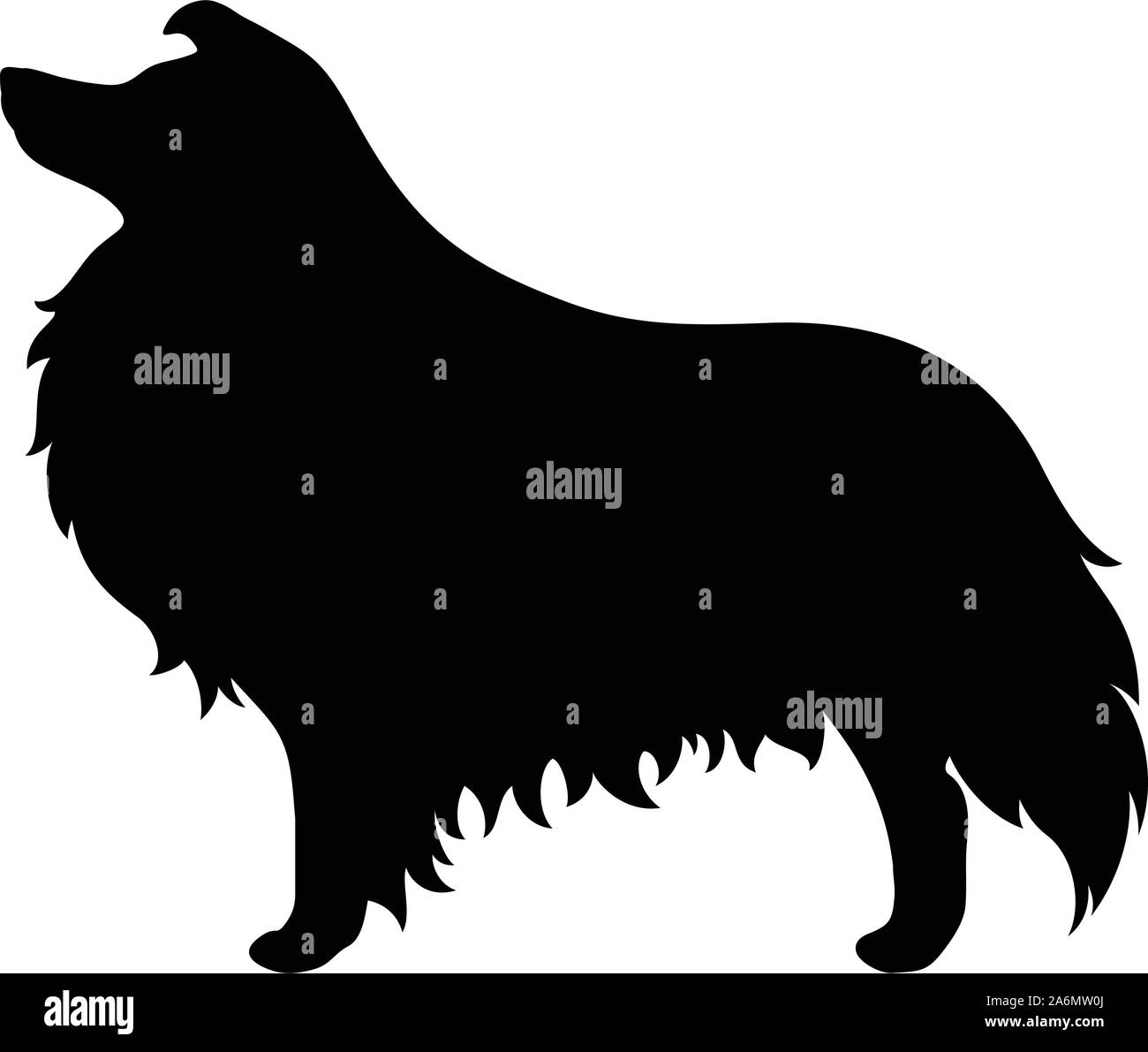 Vector silhouette noire d'un Colley chien isolé sur un fond blanc. Illustration de Vecteur