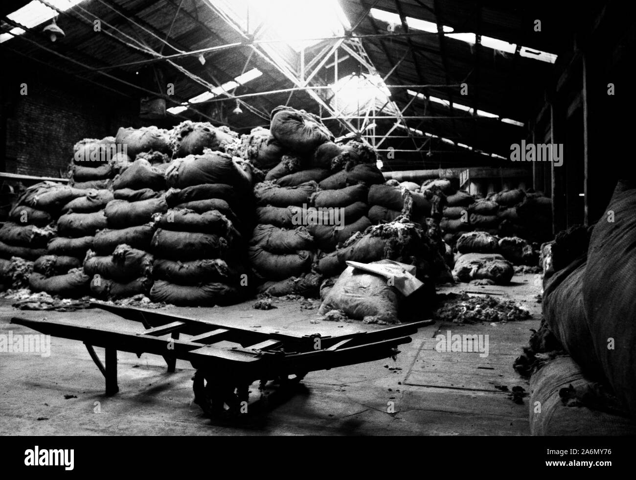 L'onu-lavé la laine. Cooperativa Lavalan, Buenos Aires, Buenos Aires, Argentine. Le 15 octobre 2002. Banque D'Images