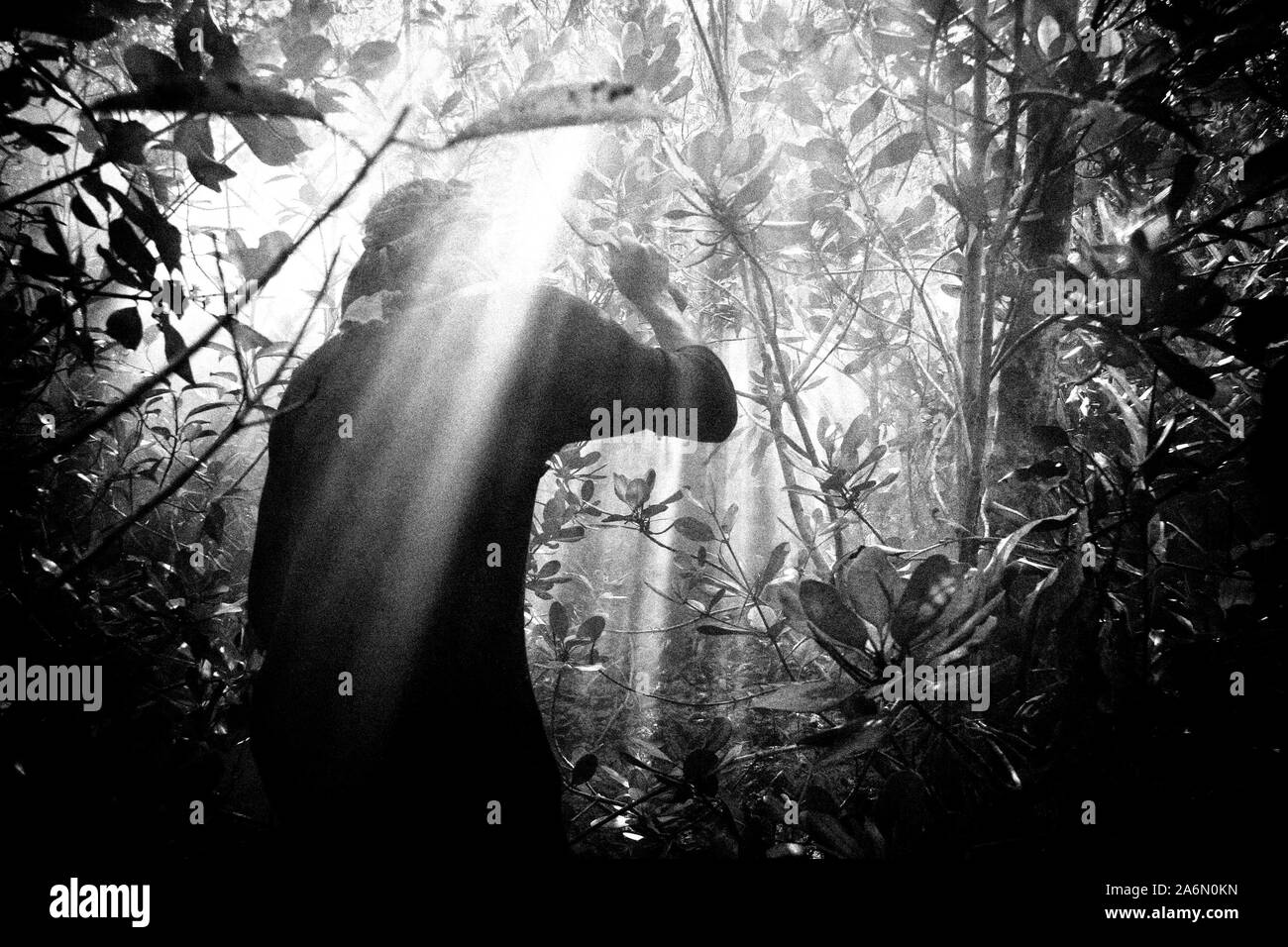 Un miel moual (collector) entrant dans le Sundarban à la recherche de miel. Satkhira, au Bangladesh. Le 2 avril 2009. Une partie de l'histoire photo, 'Vivre avec la réalité inattendues", par K. M. Asad. Banque D'Images