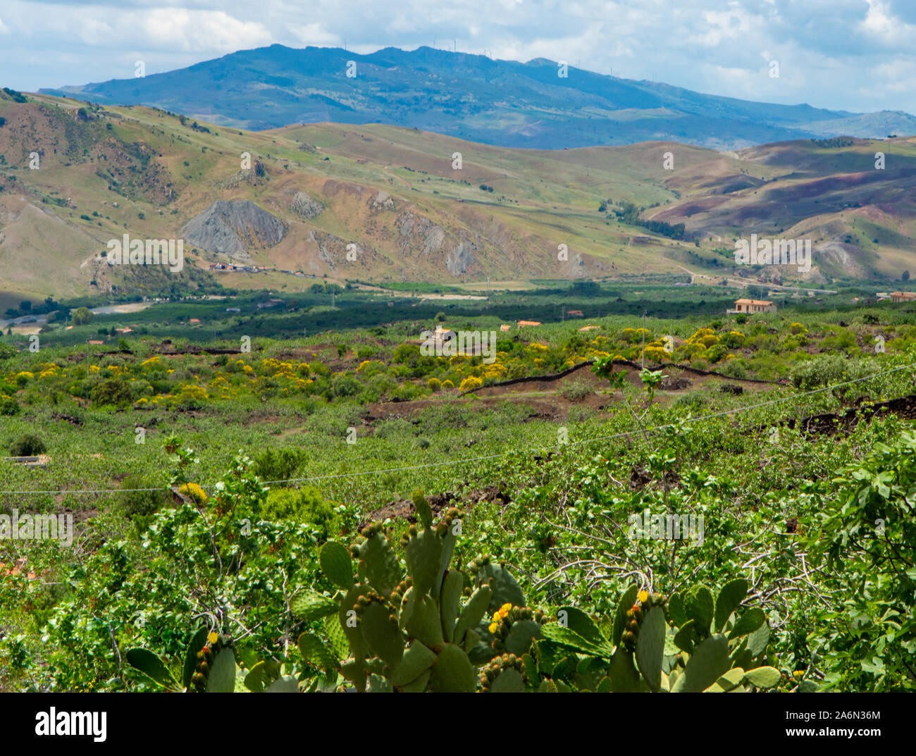 Paysage avec montagnes et vallée près de Bronte, pistachiers plantations sur l'île de la Sicile, au sud de l'Italie au printemps Banque D'Images