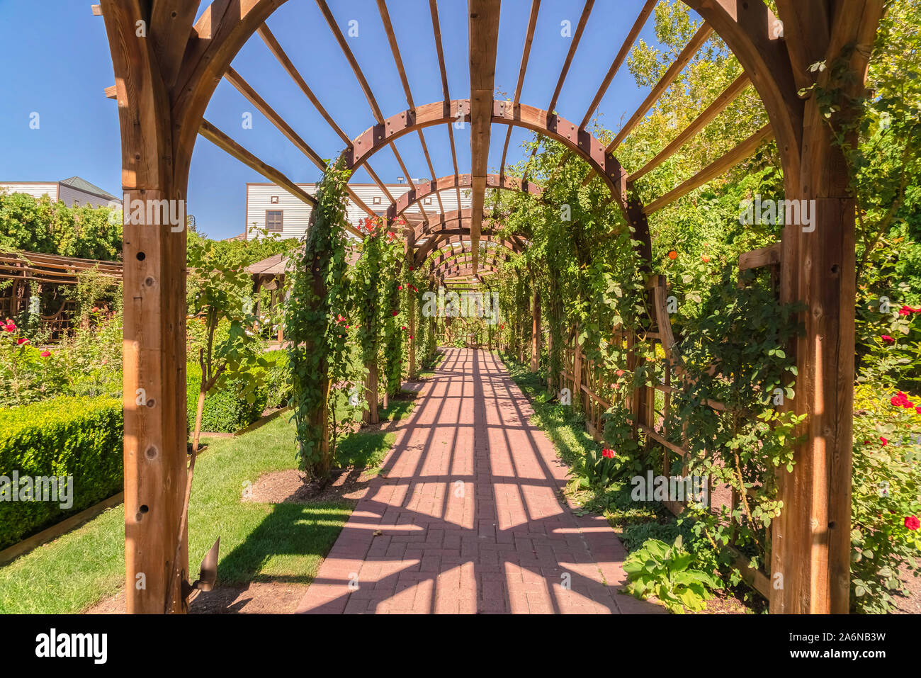 Beau jardin salle de mariage avec un sol en bois arbor enveloppé de vignes  dynamique Photo Stock - Alamy