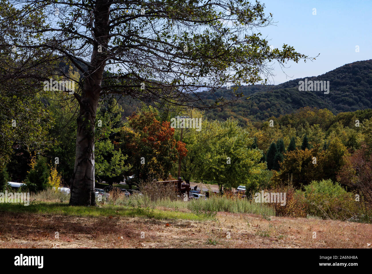 Modification des couleurs Banque D'Images