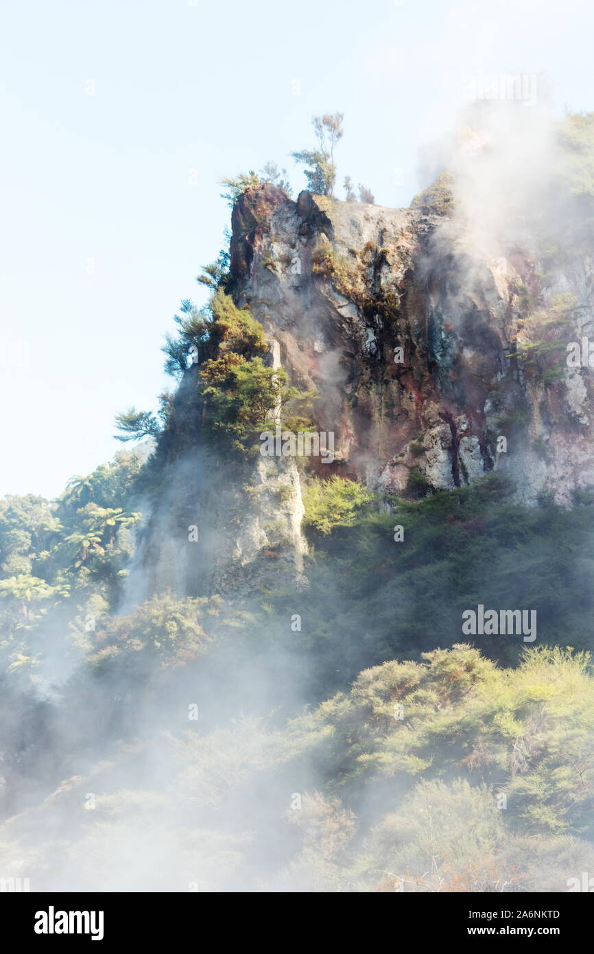 La vapeur géothermique de monter jusqu'à la luxuriante forêt de la Vallée volcanique de Waimangu, Rotorua, Nouvelle-Zélande. Banque D'Images