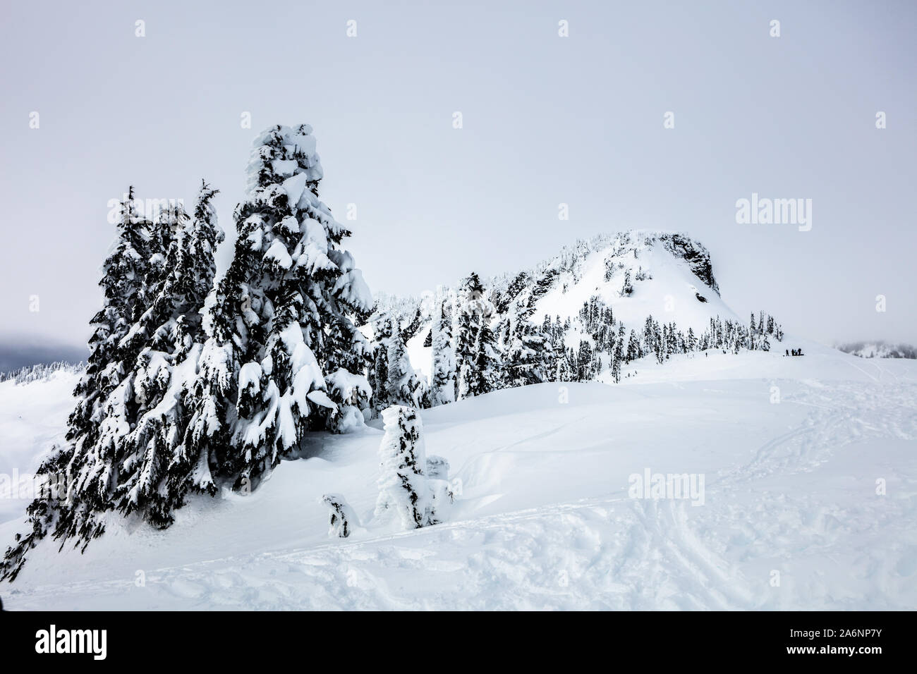Chaussures de neige de l'arrière-pays le long de la route North Cascades. Artist Point, le mont Baker Snoqualmie National Forest, Washington State, USA Banque D'Images