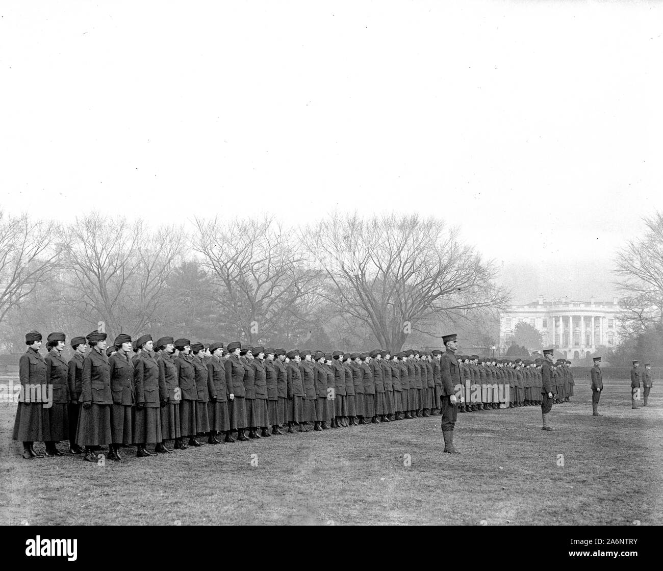 Marinettes de l'United States Marine Corps ca. 1918 (femelle Marines) Banque D'Images
