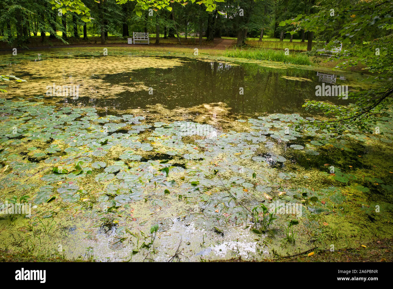 Vue sur le bassin rond de la succession des propriétaires fonciers Wulf. Le village de Bernovo Banque D'Images