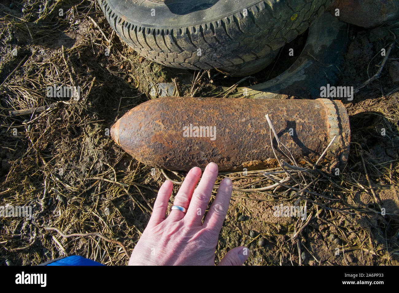 Les ww1 shell dans le domaine dans la région de la somme de la France. La munition a été marquée par un vieux pneu et le récipient en plastique, en attendant la detruction. Banque D'Images