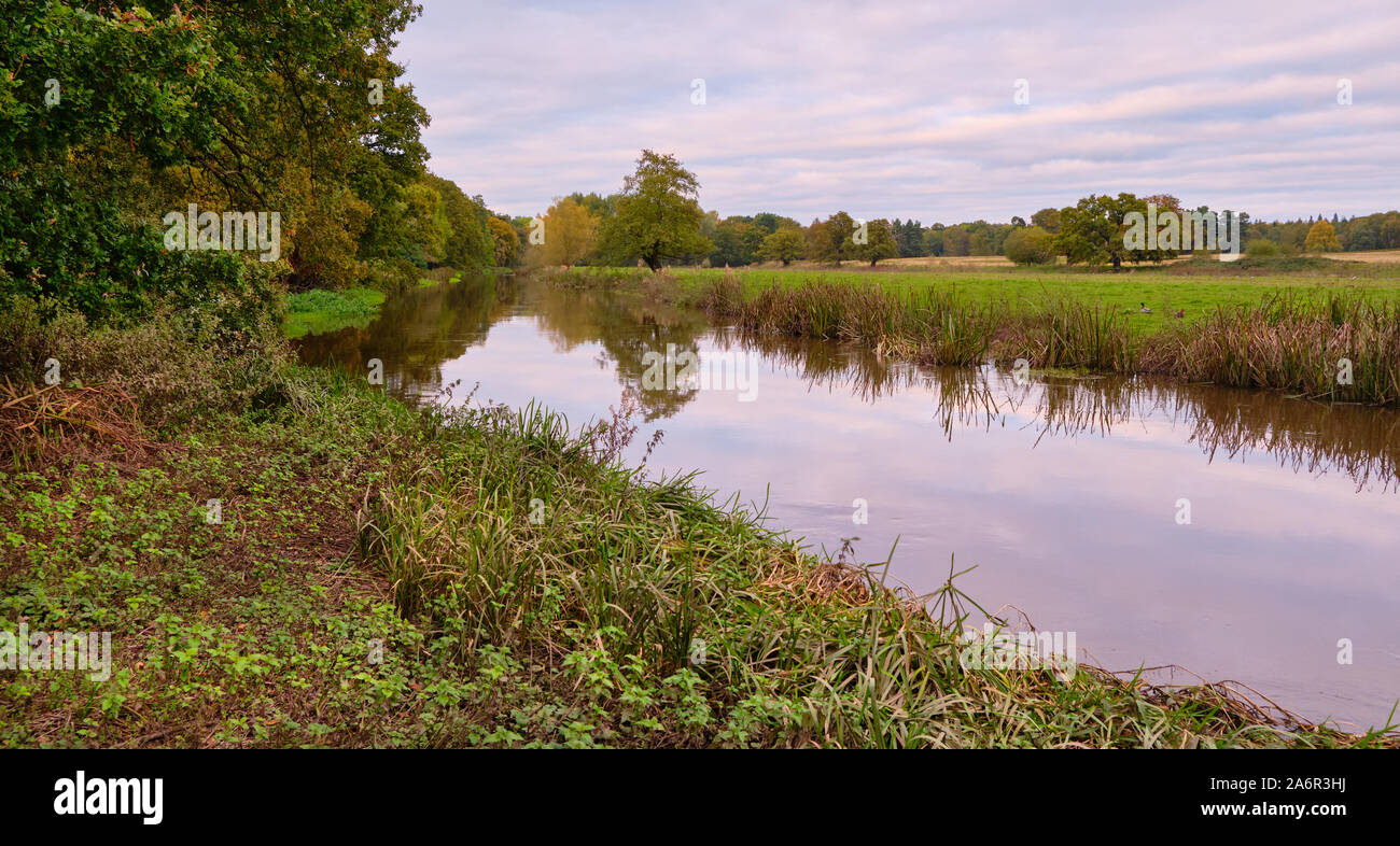 La sterne de la rivière qui coule à travers le Shropshire rural durant la campagne automne automne Banque D'Images