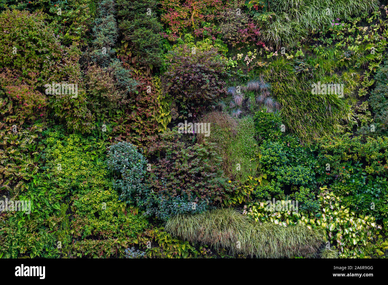 Jardin vertical sur la façade d'un immeuble Banque D'Images