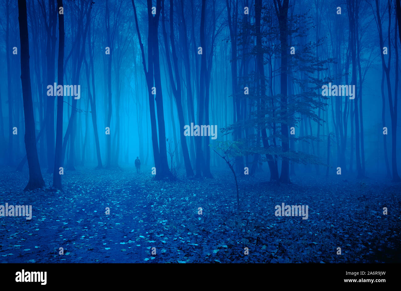 Personne qui marche dans la nuit à travers la forêt dans la brume Banque D'Images