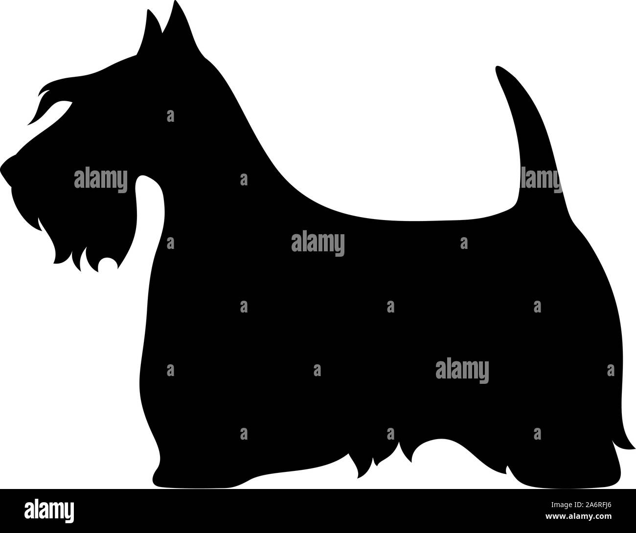 Vector silhouette noire d'un chien de terrier écossais isolé sur un fond blanc. Illustration de Vecteur