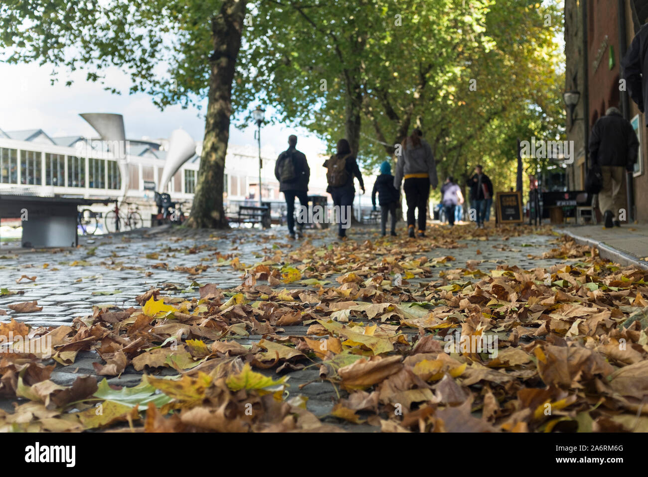 Les feuilles d'automne tombées dans la rue pavée, port flottant, Bristol, Royaume-Uni Banque D'Images