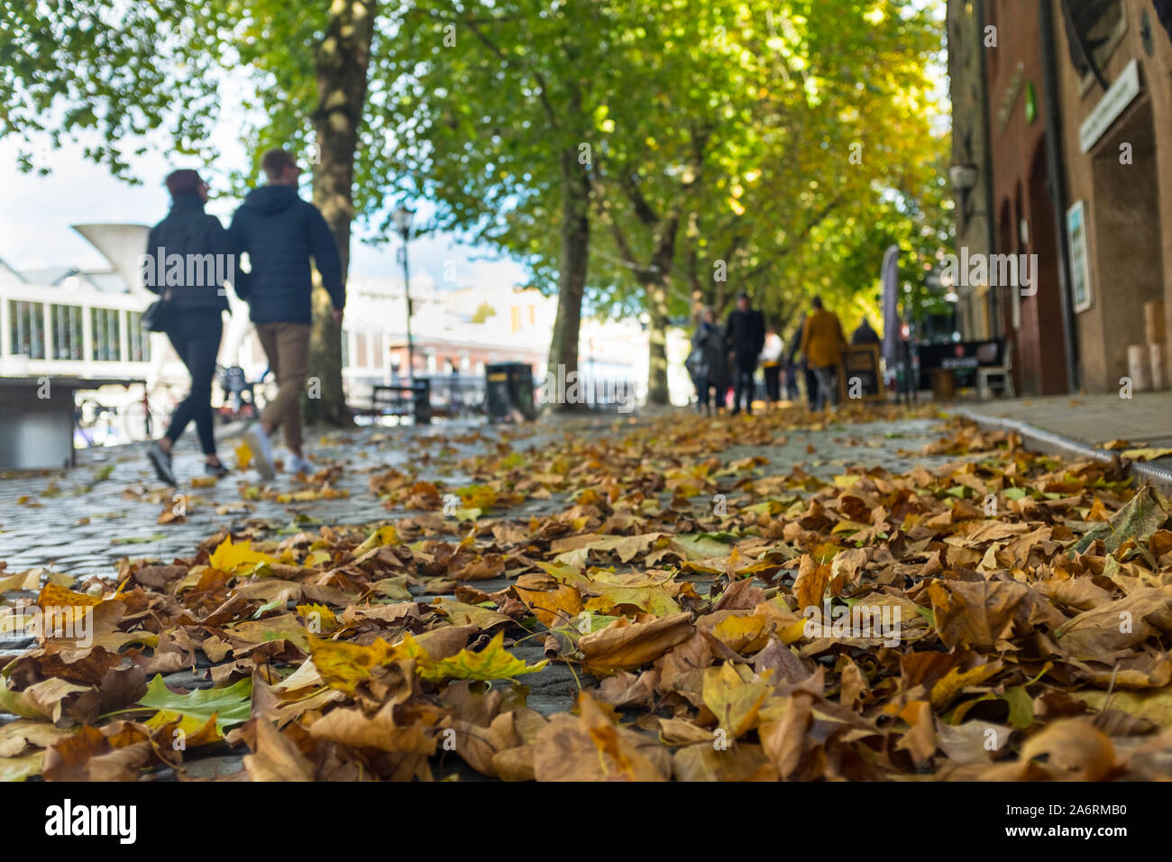 Les feuilles d'automne tombées dans la rue pavée, port flottant, Bristol, Royaume-Uni Banque D'Images