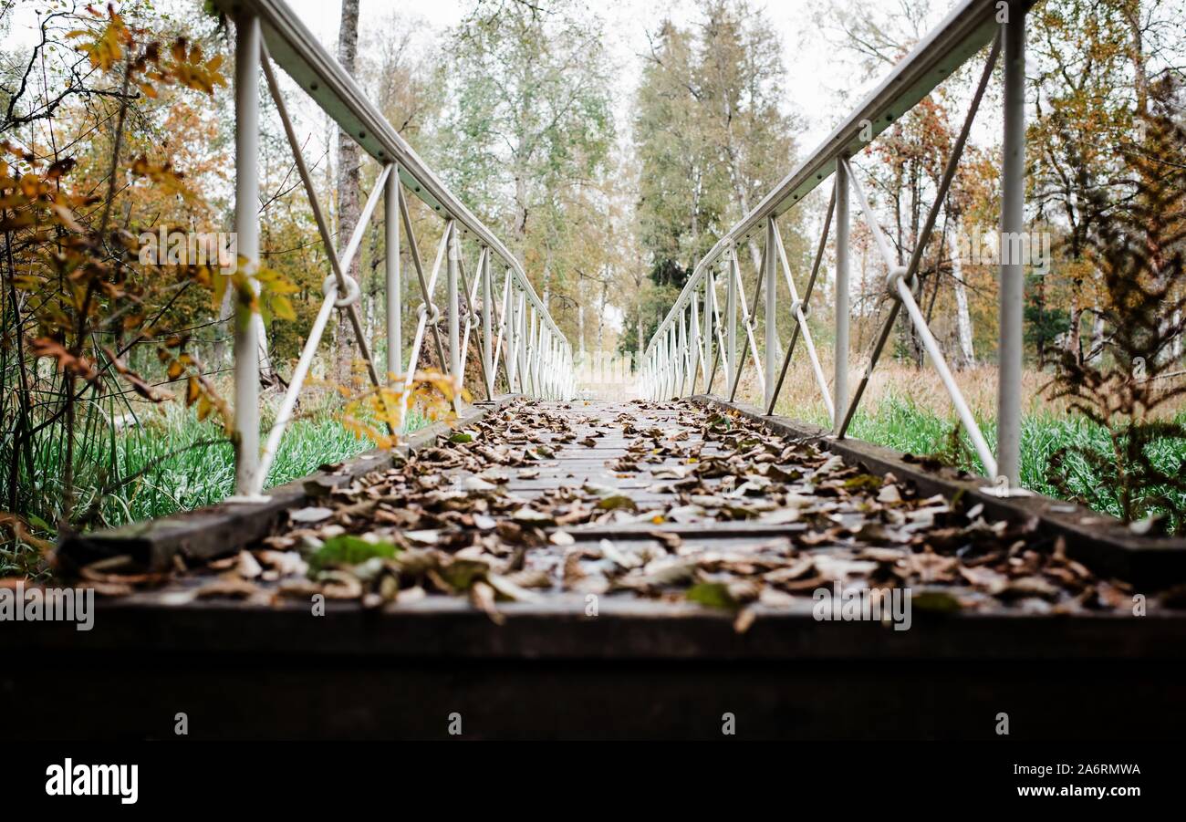 Un pont menant à une forêt couverte de feuilles en automne Banque D'Images