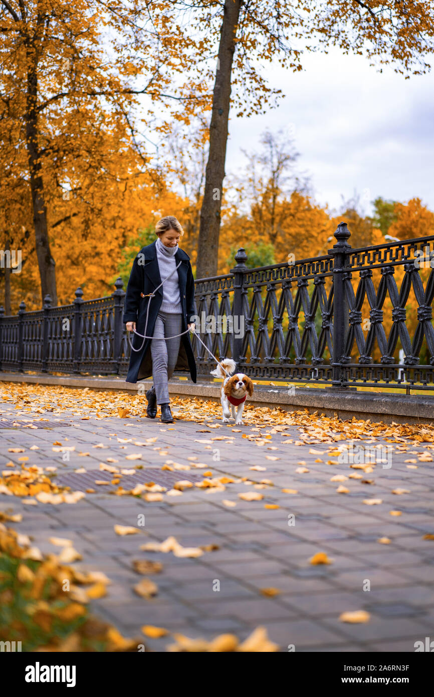 Femme marche en automne parc avec un Cavalier King Charles Spaniel chien Banque D'Images