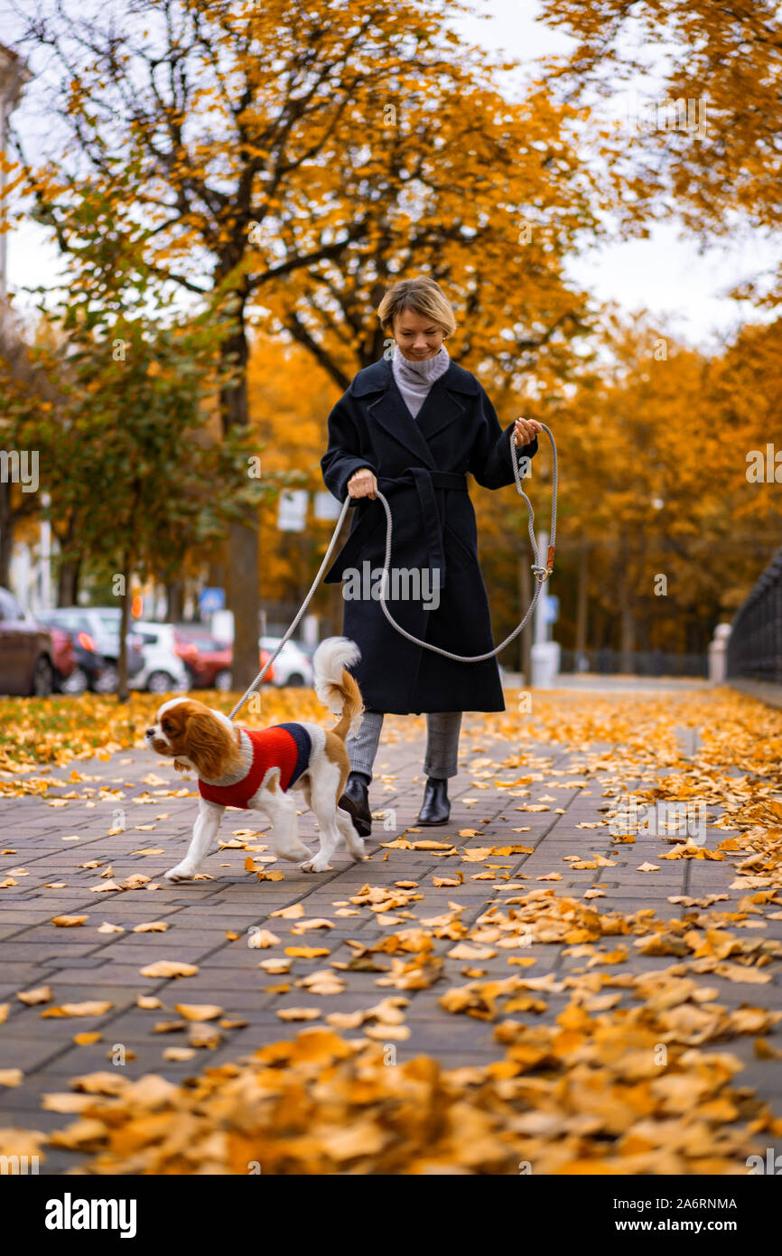 Femme marche en automne parc avec un Cavalier King Charles Spaniel chien Banque D'Images