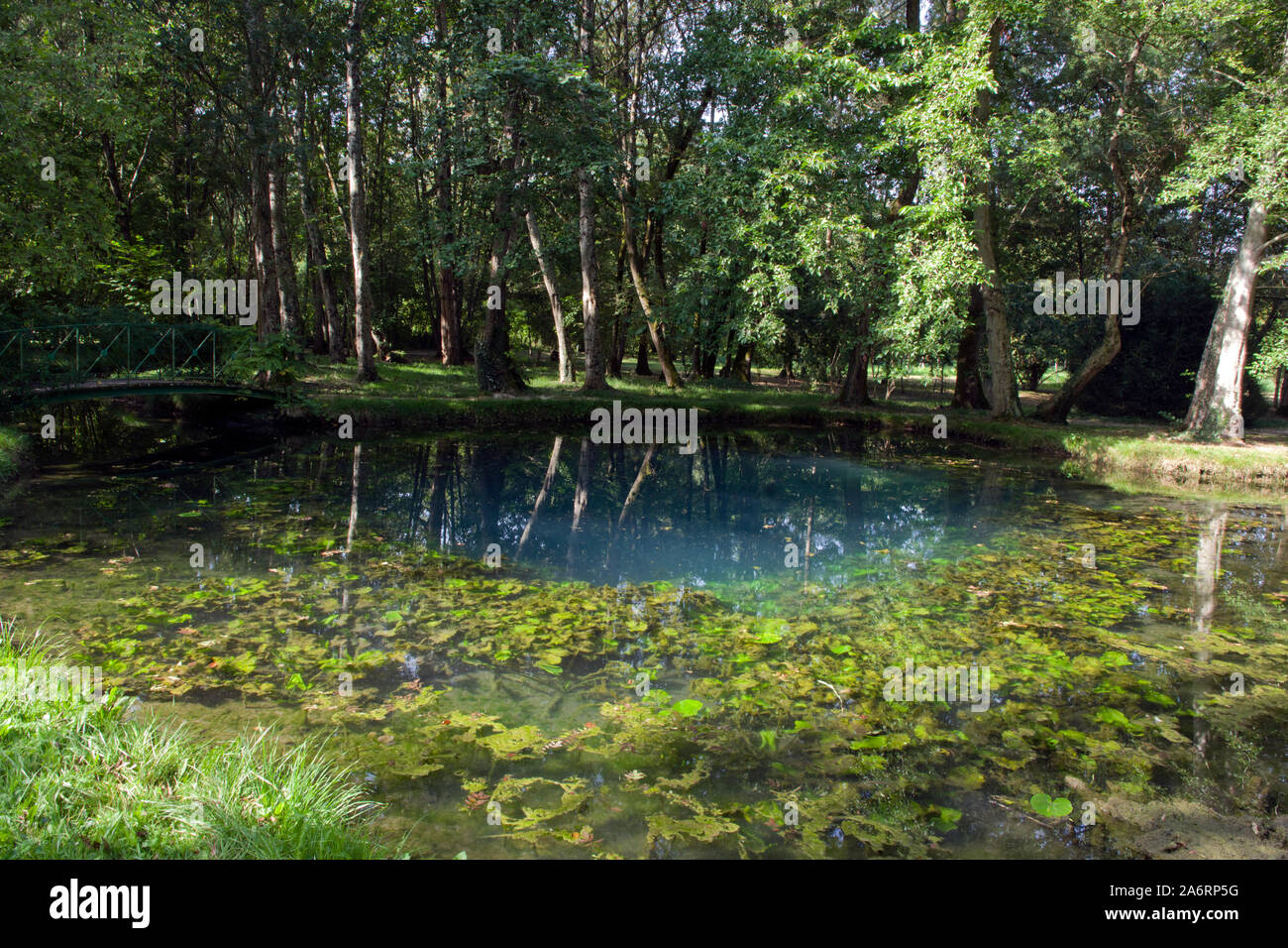 Chateau de Beaulon jardin, printemps bleu naturel Banque D'Images