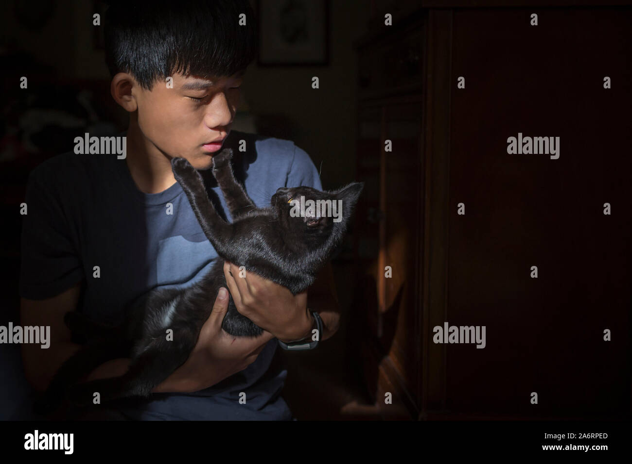 Garçon chinois asiatique détient chat noir qui touche le visage du garçon avec pattes Banque D'Images