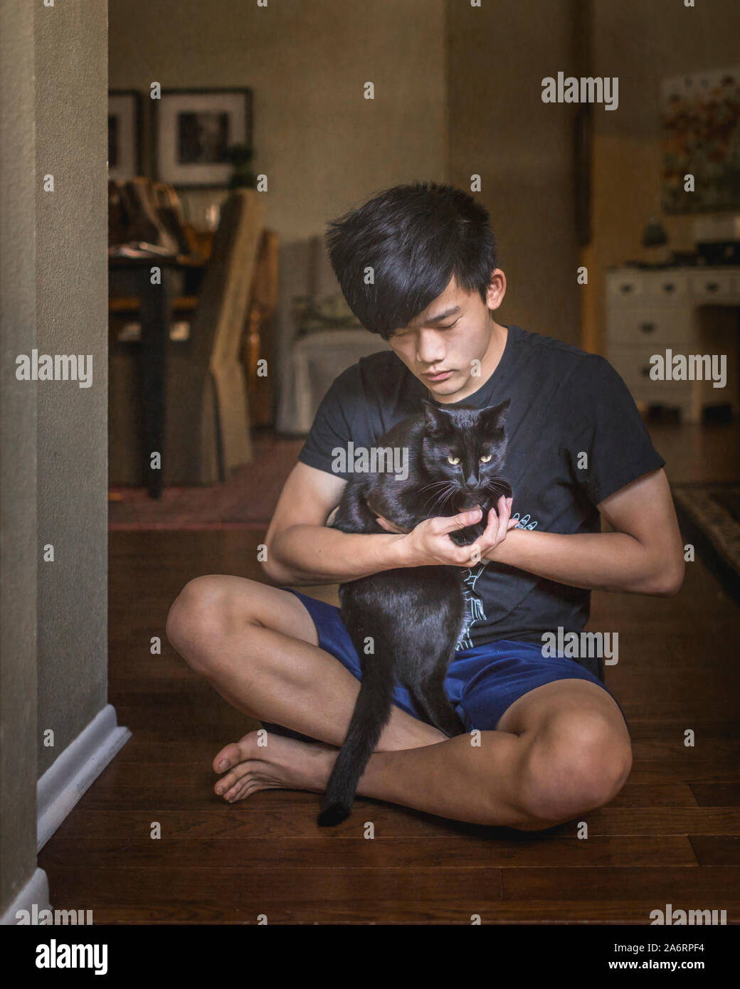 Garçon chinois asiatique joue avec chat noir assis sur le sol Banque D'Images