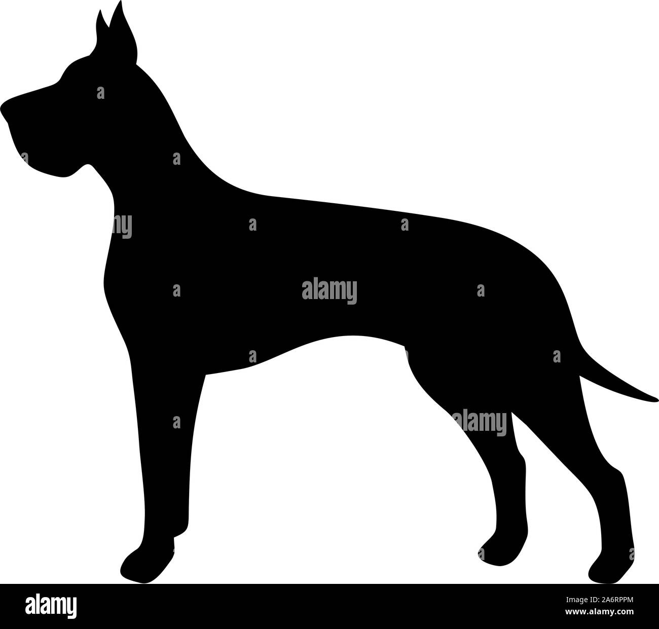 Vector silhouette noire d'un grand danois chien isolé sur un fond blanc. Illustration de Vecteur