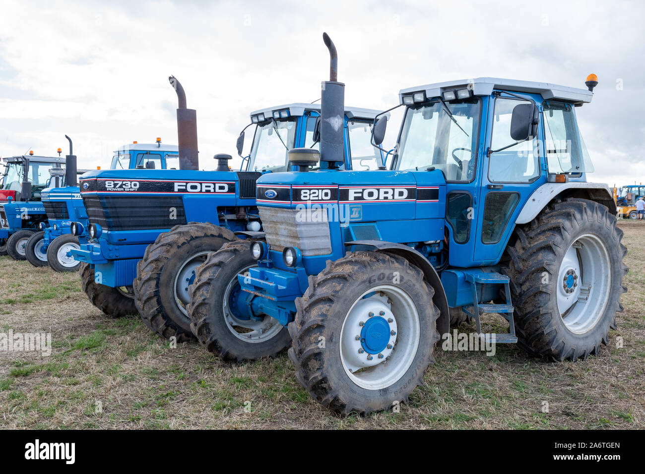Haselbury Plucknett.Somerset.Royaume-Uni.18 août 2019.Une ligne de tracteurs Ford classique sont garées dans une rangée sur l'affichage à une agriculture hiers eve Banque D'Images