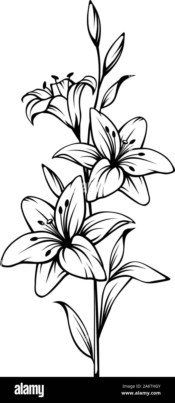Sitemapcdatahttpsshopinf Inetcomdessin Fleur De Lys Noir Et Blanc