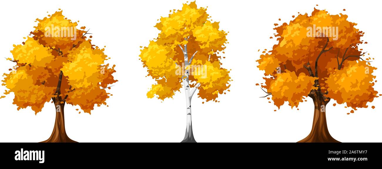 Vector set de l'automne les arbres feuillus isolé sur un fond blanc. Illustration de Vecteur