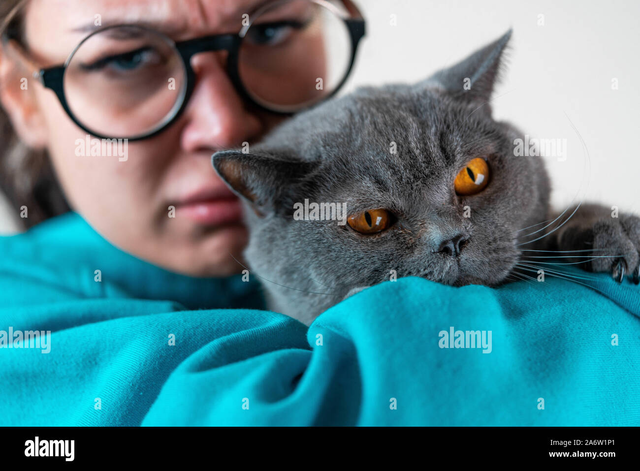 La agressive sauvage chat gris et les jeunes Angry woman on white background looking at camera Banque D'Images