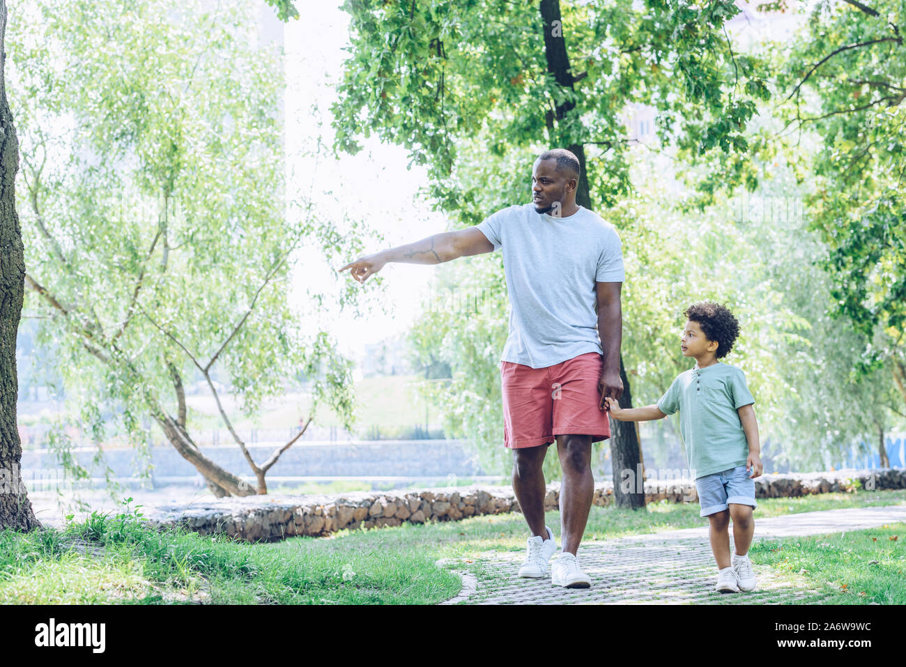 Young african american father pointant avec le doigt tout en marchant avec adorable son in park Banque D'Images
