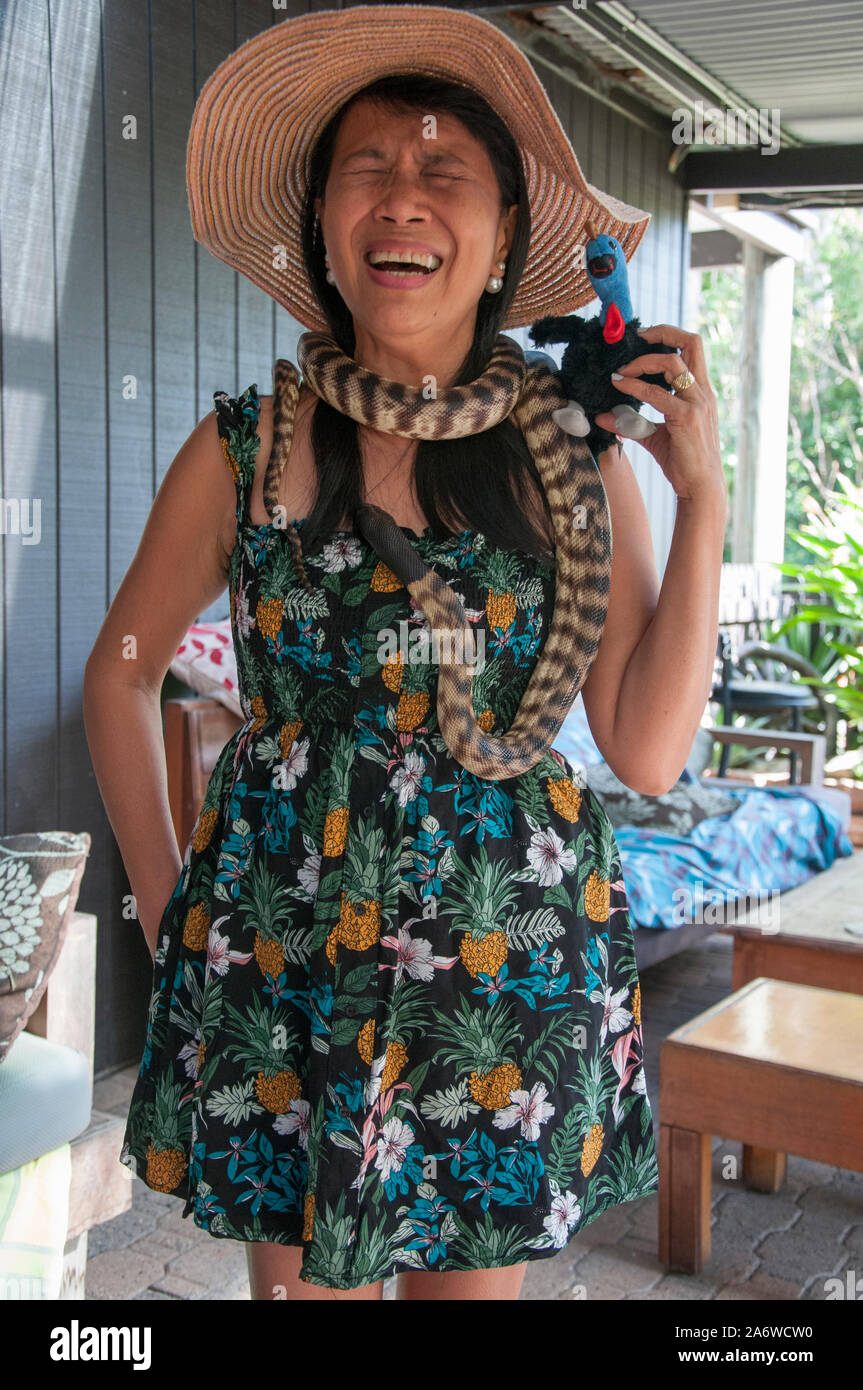 Une auberge de jeunesse guest fait connaissance avec les animaux de l'hôte (un python non venimeux serpent indigènes) à Port Douglas, Tropical North Queensland, Australie Banque D'Images