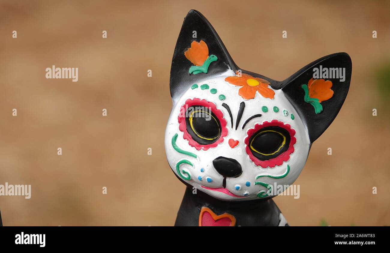 Un beau chat peint crâne en sucre Banque D'Images