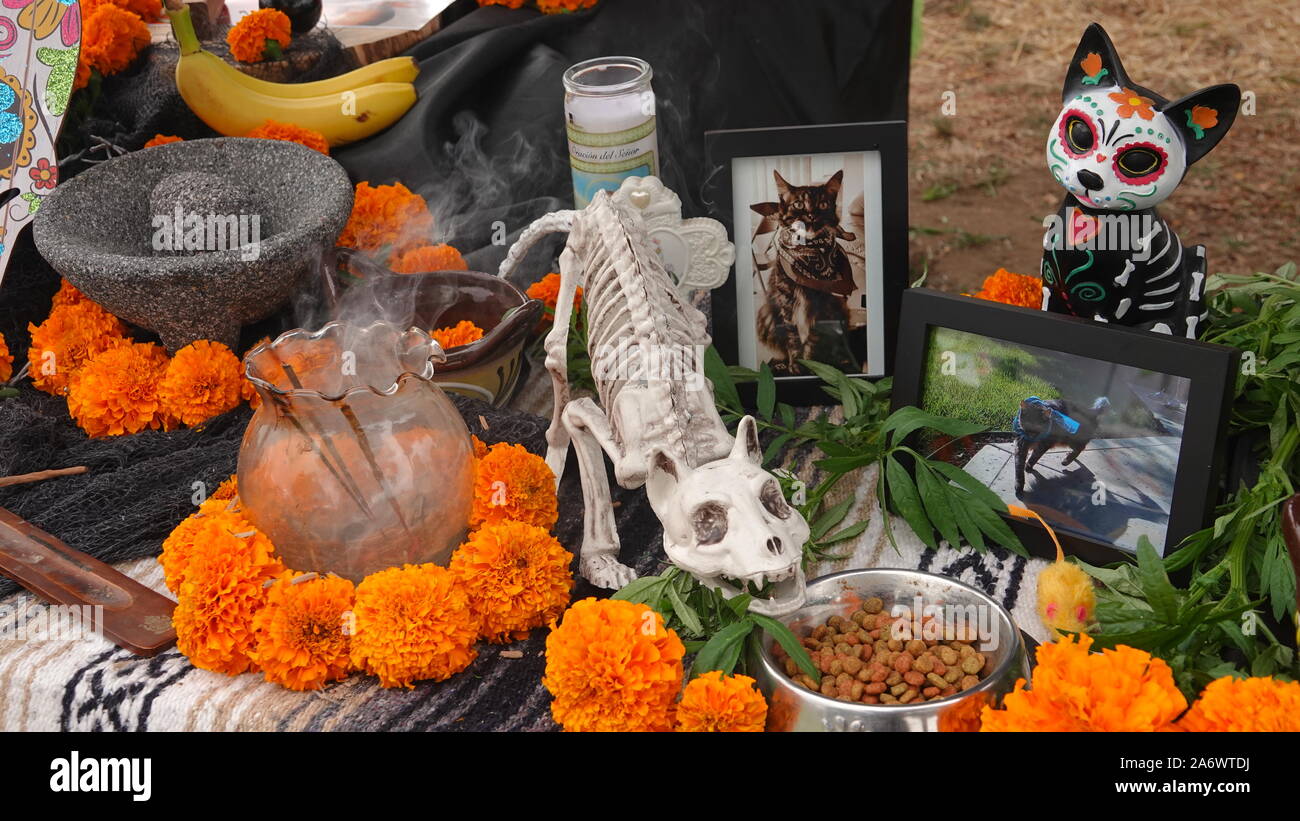 L'encens brûle à une fête des morts autel en souvenir d'un chat de compagnie de la famille Banque D'Images